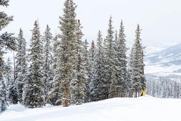 A szezon végén Ski resort — Stock Fotó