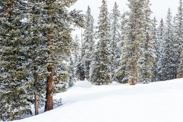 Ski resort i slutet av säsongen — Stockfoto