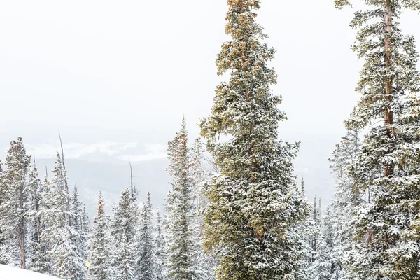 Skigebiet am Ende der Saison — Stockfoto