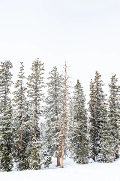 Ski resort at the end of the season — Stock Photo, Image