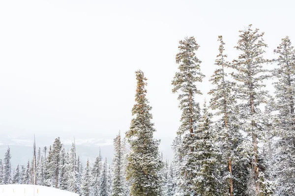 Ski resort i slutet av säsongen — Stockfoto