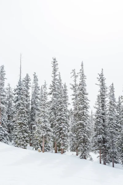 Skigebiet am Ende der Saison — Stockfoto
