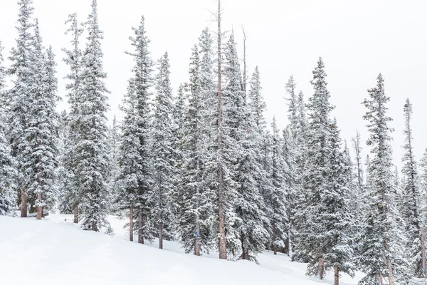 Station de ski en fin de saison — Photo