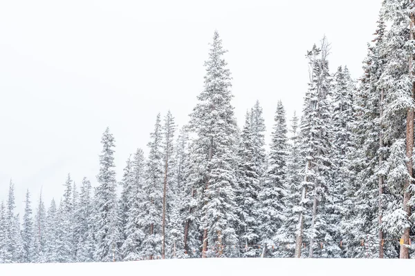 在结束了本赛季的滑雪胜地 — 图库照片