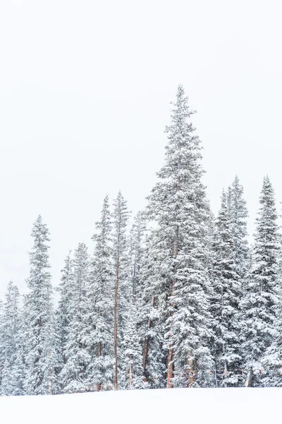 Ośrodek narciarski na koniec sezonu — Zdjęcie stockowe