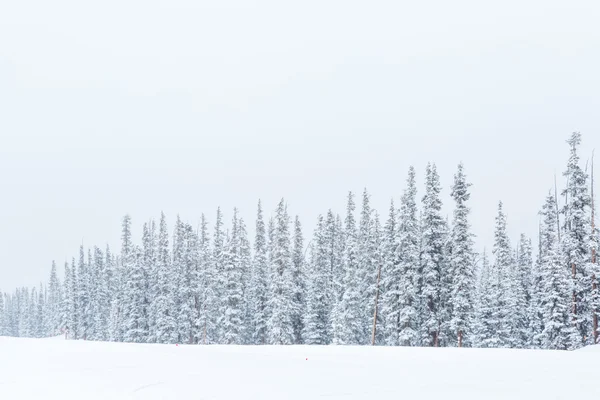 Ski resort i slutet av säsongen — Stockfoto