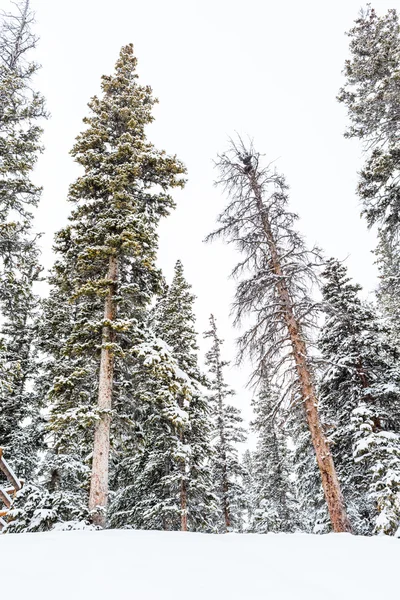 Skigebiet am Ende der Saison — Stockfoto