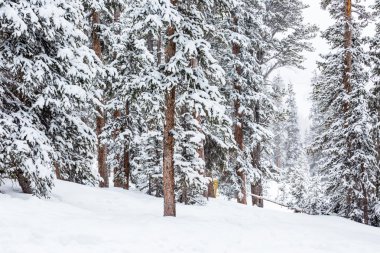 Sezon sonunda Kayak Merkezi