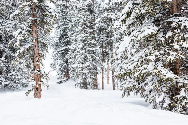 Ski resort at the end of the season — Stock Photo, Image