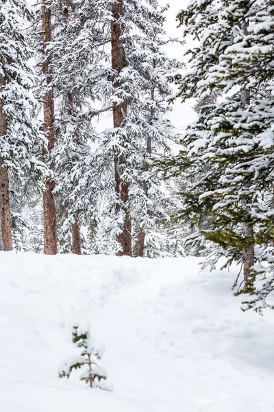 Station de ski en fin de saison — Photo