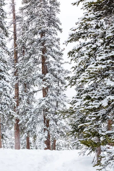 Ski resort i slutet av säsongen — Stockfoto