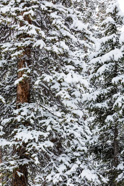 Station de ski en fin de saison — Photo