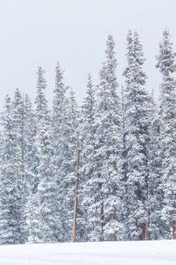 Sezon sonunda Kayak Merkezi