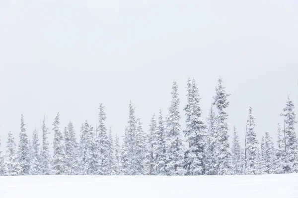 在结束了本赛季的滑雪胜地 — 图库照片