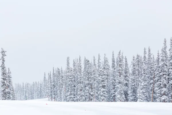 Lyžařský areál na konci sezóny — Stock fotografie