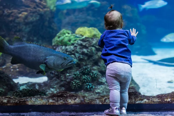 Girl toddler at fish aquarium — Stock Photo, Image