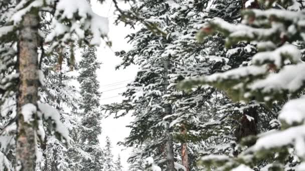 Loveland Pass, Colorado, Usa — Stockvideo