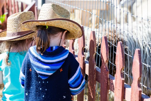 Kinderen Verjaardagsfeest — Stockfoto