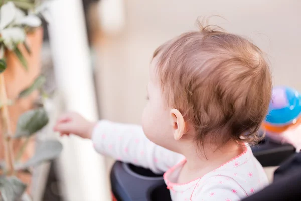 Menina criança no passeio no carrinho de bebê — Fotografia de Stock