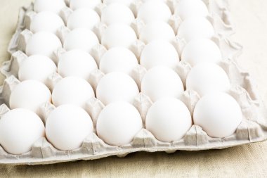 Beyaz yumurta yakın çekim