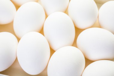 Beyaz yumurta yakın çekim