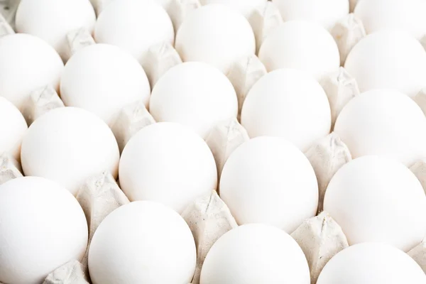 Close up of White eggs — Stock Photo, Image