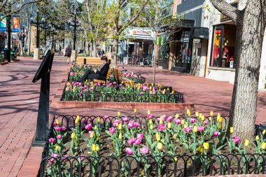 Pearl Street alışveriş merkezi