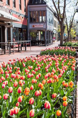 Pearl Street alışveriş merkezi