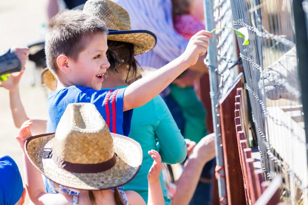 Deuxième fête d'anniversaire à la ferme communautaire — Photo