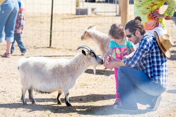 Tweede verjaardagspartij op de boerderij van de Gemeenschap — Stockfoto