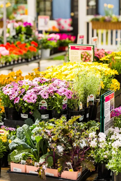 Tuincentrum weergave — Stockfoto