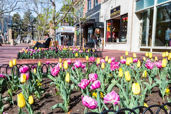 Pearl Street Mall — Stockfoto