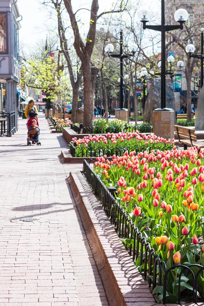 Pearl Street Mall — Stock Fotó