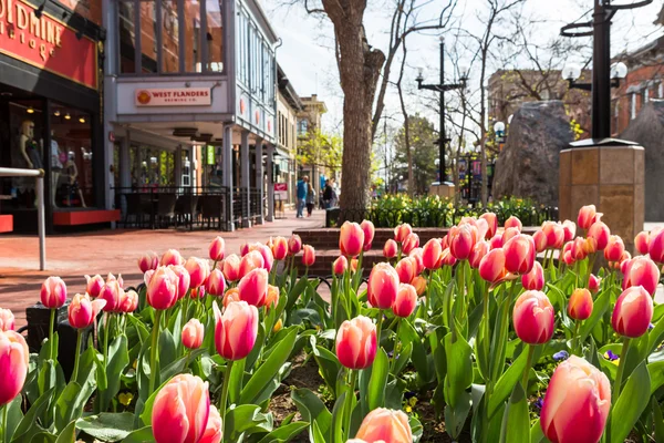 Pearl Street Mall — Stockfoto