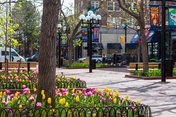 Pearl Street Mall — Stockfoto