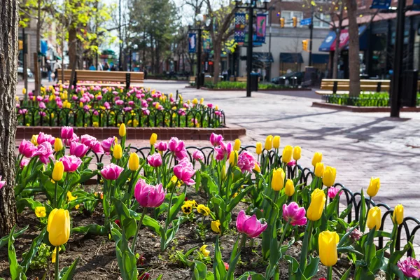 Pearl Street Mall — Stock Photo, Image