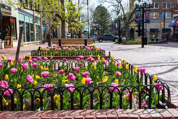 Pearl Street Mall — Stockfoto