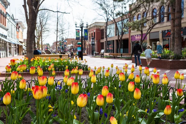 Pearl Street Mall — Stock Photo, Image