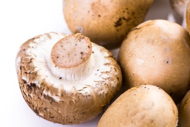 Bebeği bella mantar