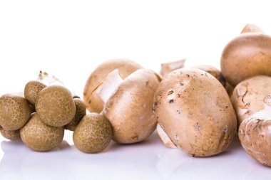 Bebeği bella mantar