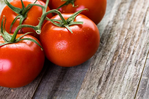 Tomatoes on vine — Stock Photo, Image