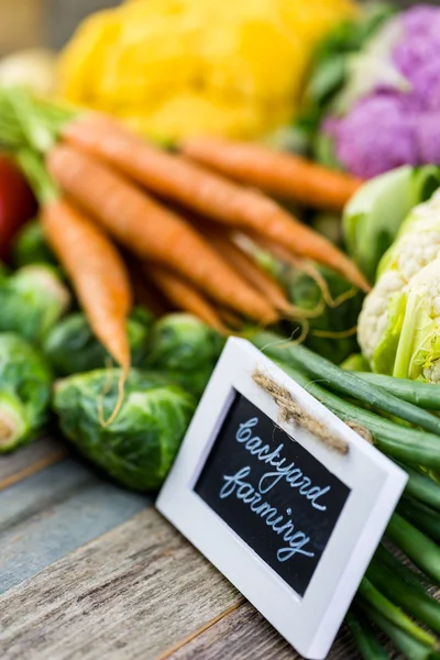 Fresh organic vegetables — Stock Photo, Image