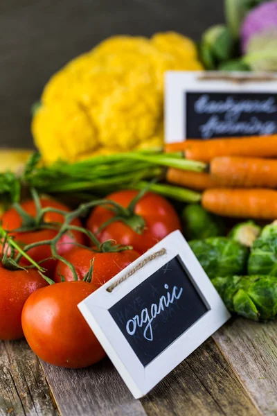 Färska ekologiska grönsaker — Stockfoto