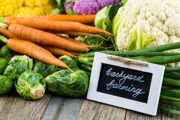 Fresh organic vegetables — Stock Image Fresh organic vegetables Stock Photo
