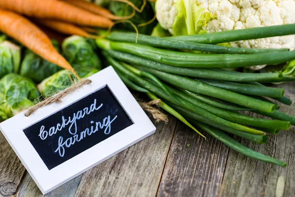 Fresh organic vegetables — Stock Image Fresh organic vegetables Royalty Free Stock Photos