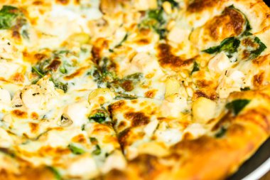 Tavuk çam fıstığı pizza