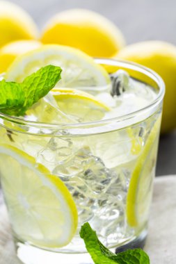 Taze narenciye meyve ve buz ile su