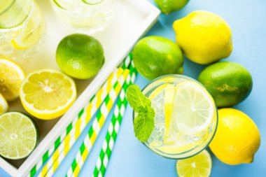 Taze narenciye meyve ve buz ile su