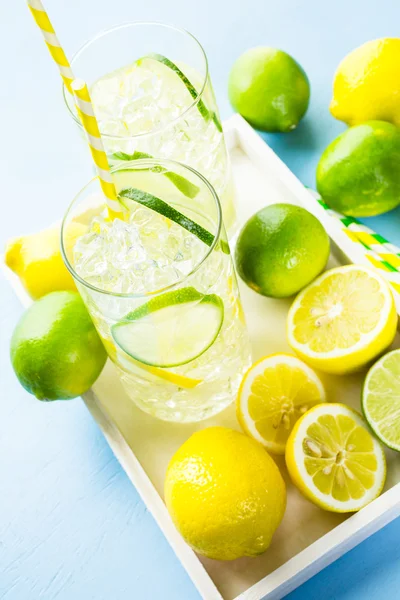 A friss citrusfélék és a jég a víz — Stock Fotó