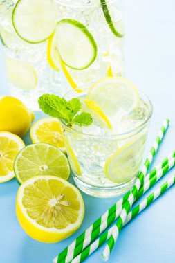 Taze narenciye meyve ve buz ile su